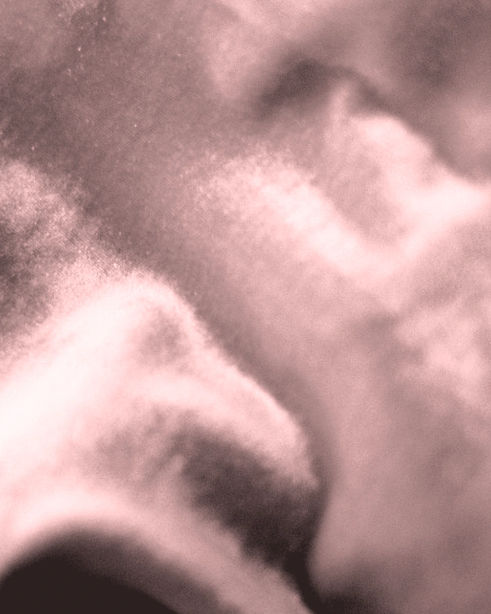 Velvet / Dusty Rose: Digital texture close-up
