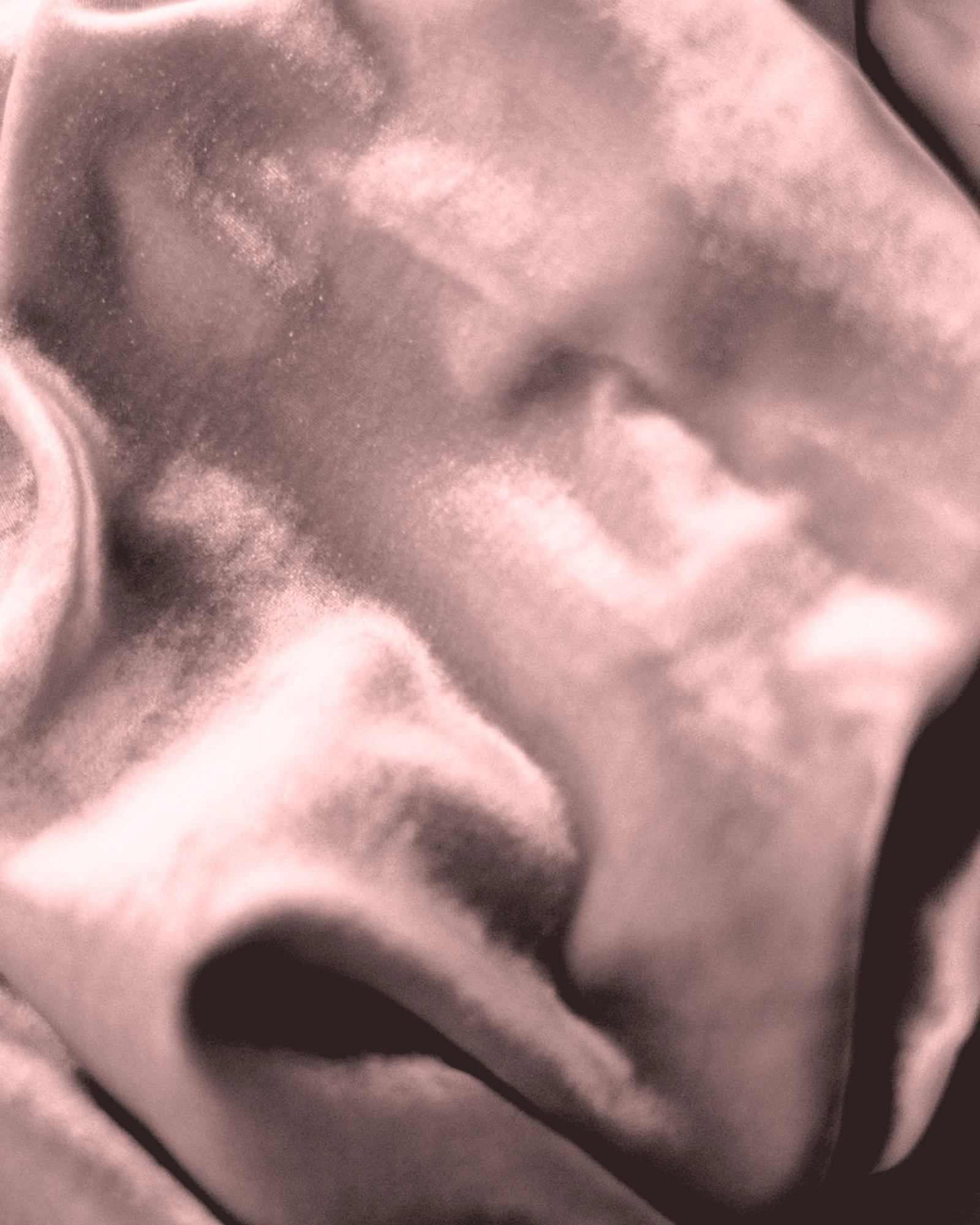 Velvet / Dusty Rose: Digital color preview