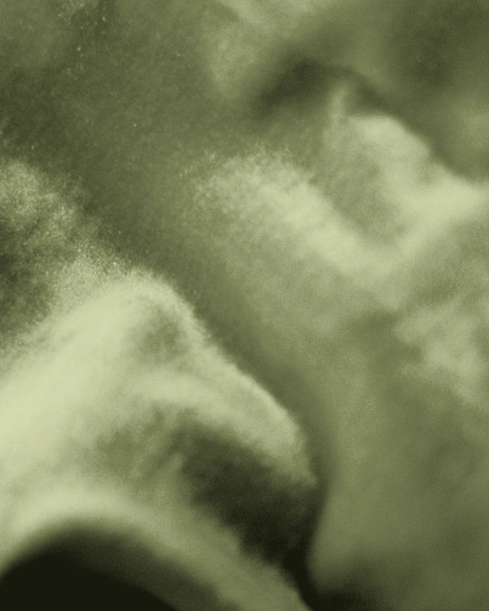 Velvet / Olive: Digital texture close-up