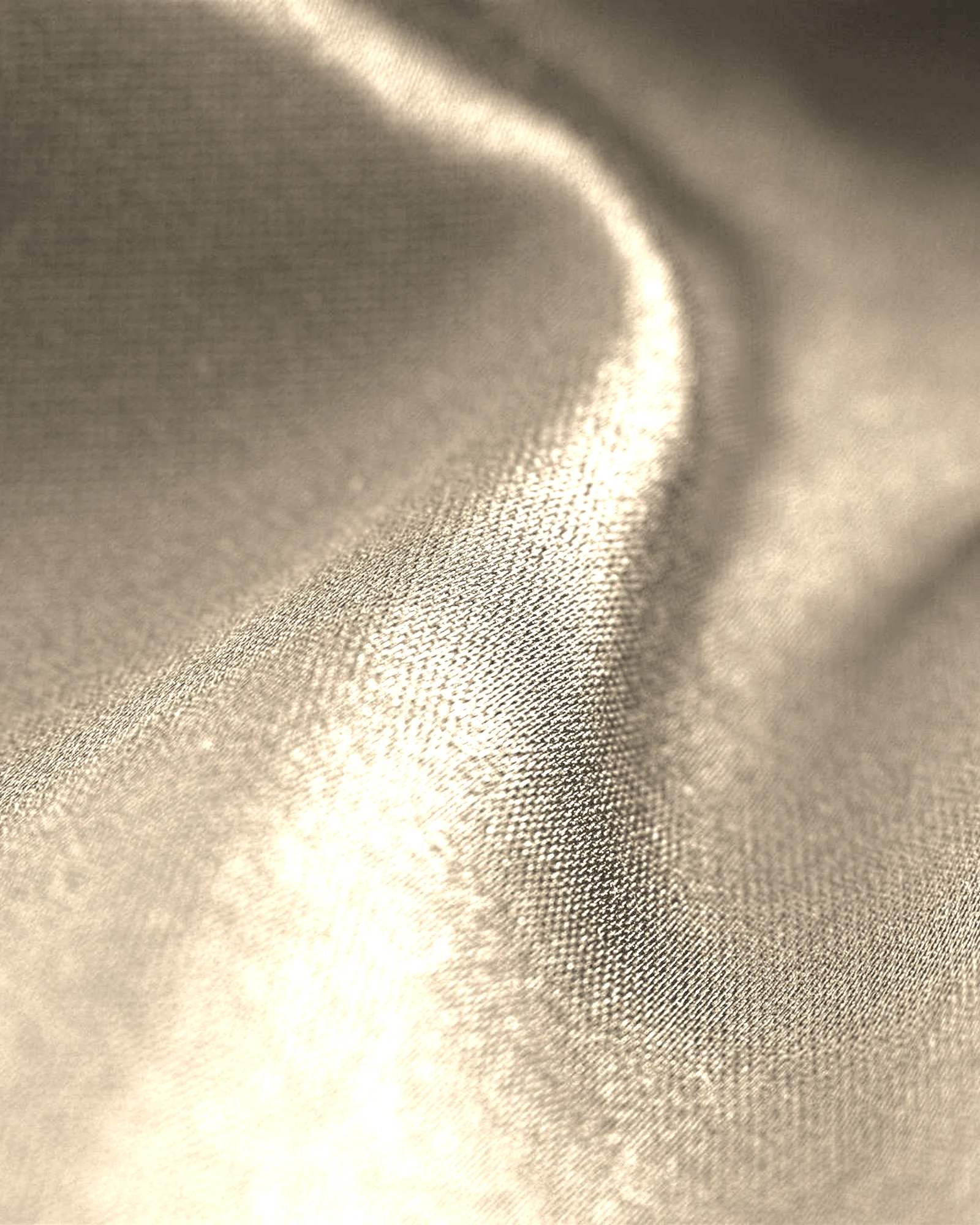 Blackout / Soft Beige: Digital color preview