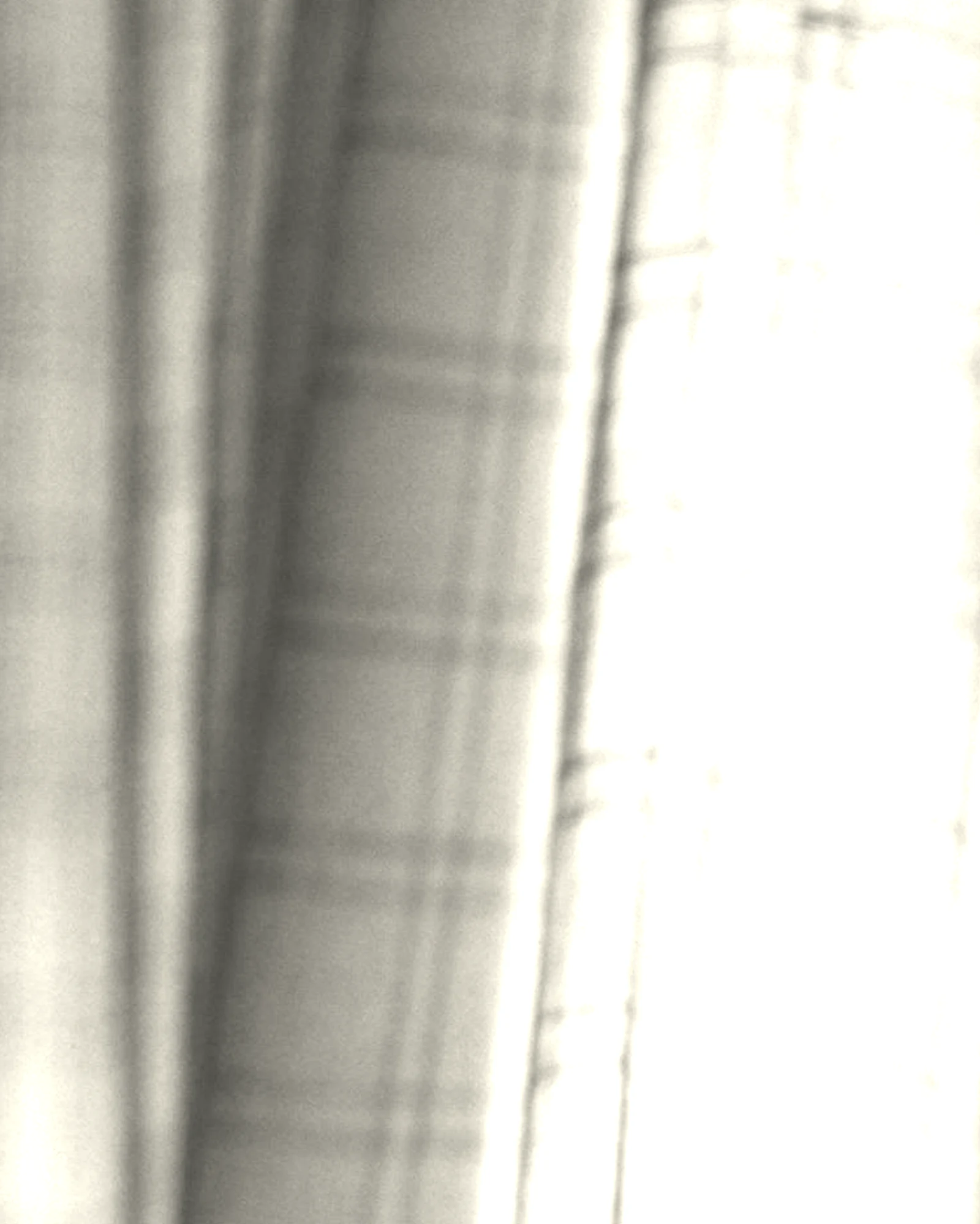 Fine Voile / Soft Ivory: Digital color preview