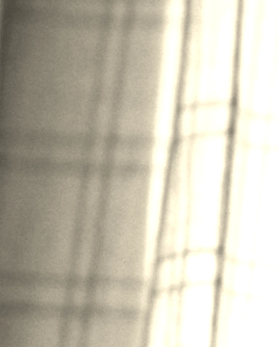 Sheer Weave / Cream: Digital texture close-up