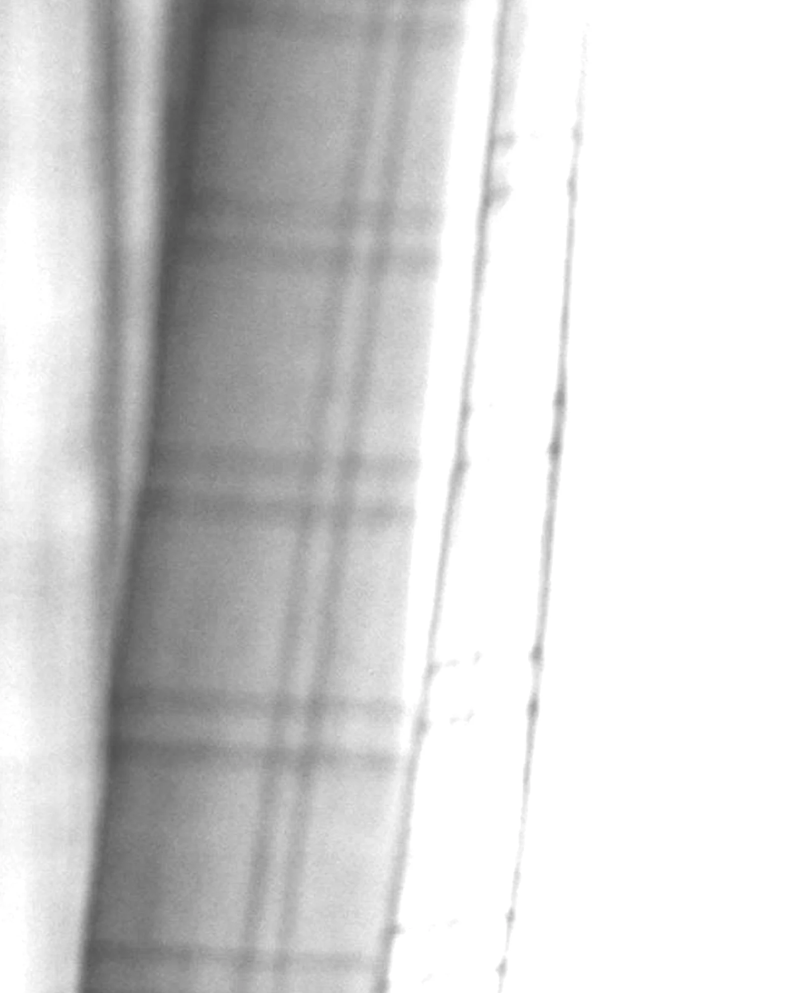 Sheer Weave / Pure White: Digital color preview